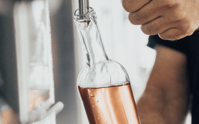 Saint-Tropez: Small Group Wine Tour - Guided Experience