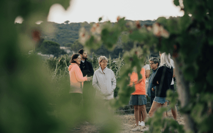 Saint-Tropez: Small Group Wine Tour - Recommended Tips for Participants