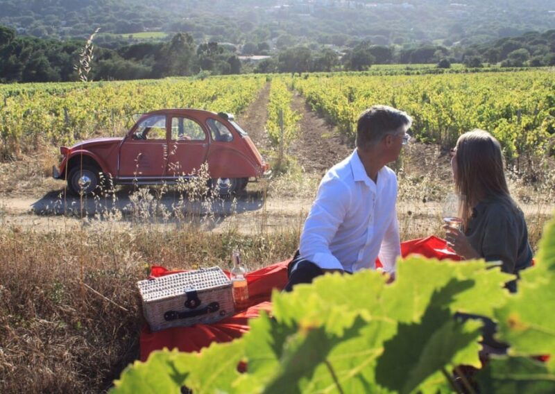 Saint-Tropez: Vintage Car Wine Tour - Vintage 2CV Paulette: A Unique Ride