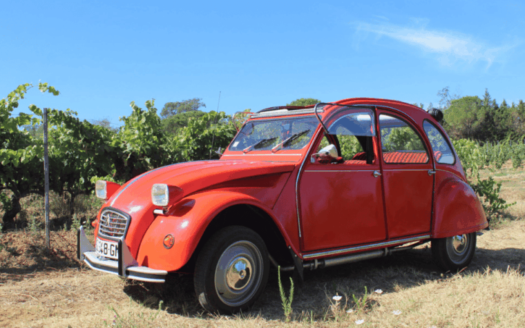 Saint-Tropez: Vintage Car Wine Tour - Wine Estates and Tastings