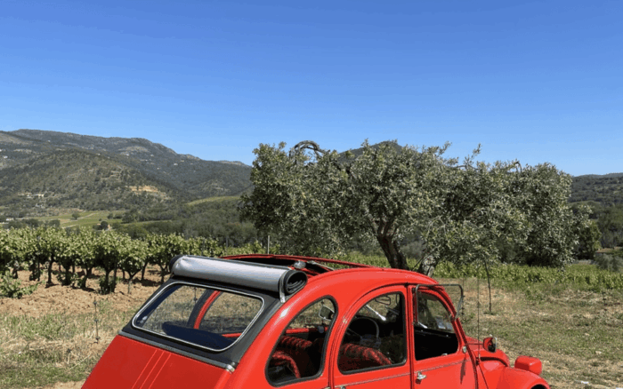 Saint-Tropez: Vintage Car Wine Tour - Customer Reviews and Overall Rating