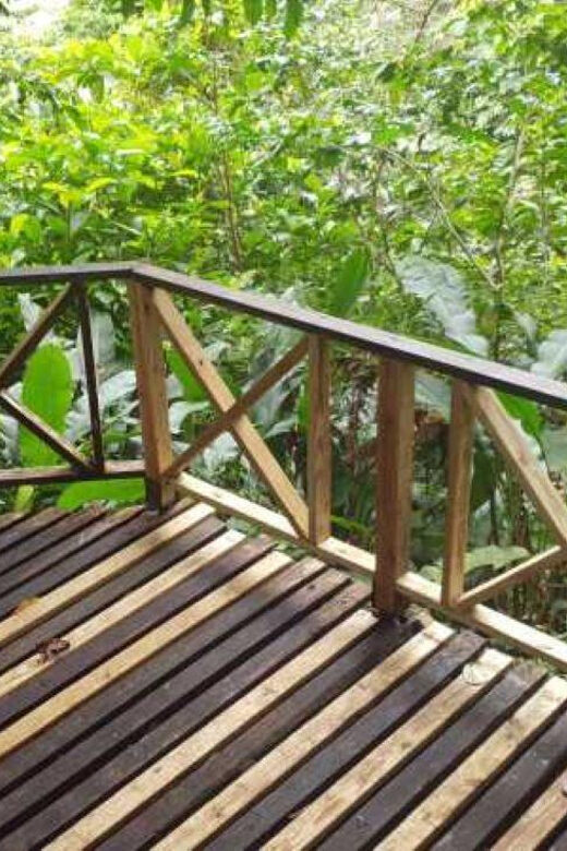 Saint Vincent: Caribbean Odyssey Tour - The Sum Up: Is This Tour Worth It?