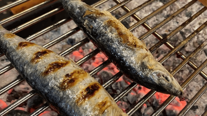 Saints on the Tagus: Traditional Festival With Taste & Music - Entertainment Highlights