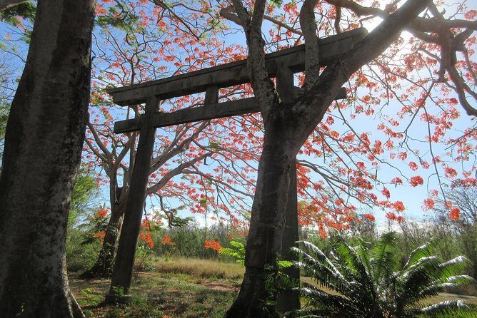 Saipan & Tinian 2-DAY Tour (Day1: SPN; Day2: TIN) - The Dive into WWII on Tinian and Saipan