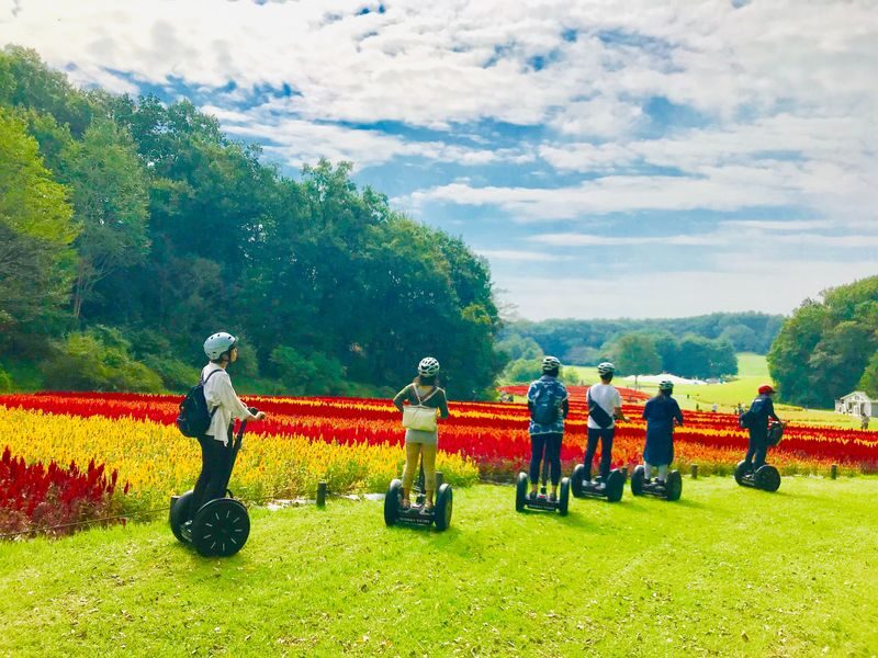 Saitama Forest Park Segway Tour in Musashi-Kyuryo National Government Park - A wide park, best explored at a gentle pace