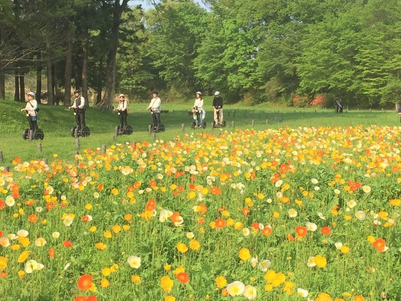 Saitama Forest Park Segway Tour in Musashi-Kyuryo National Government Park - Snacks, drinks and a little breathing room
