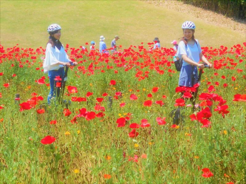 Saitama Forest Park Segway Tour in Musashi-Kyuryo National Government Park - Choosing a start time that suits your visit