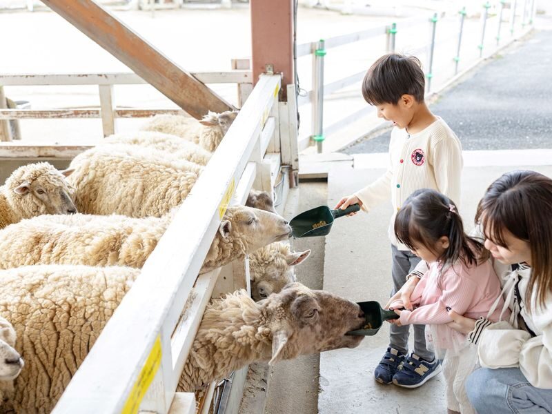 Sakai Green Museum Harvest Hill: Harvest Hill Admission Ticket - Start at the entrance, then set your own pace