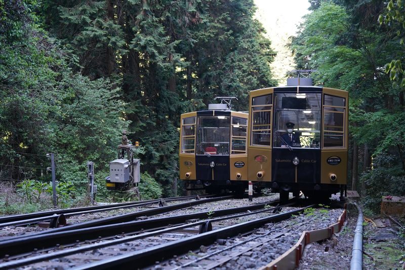 Sakamoto Cable Car Ticket - Key points to know before you go