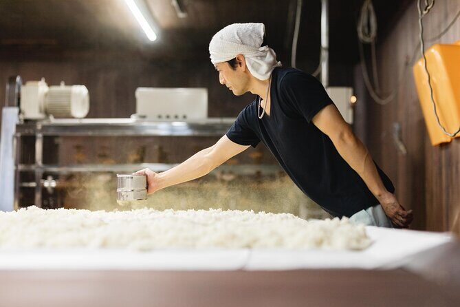 Sake Heritage Nagoya Brewers Insights and Tastings tour - Inside Tshun Shuz Brewery: Past and Present