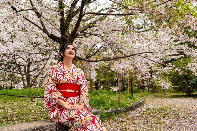 Sakura Season Photoshoot Experience in Kyoto - Good To Know