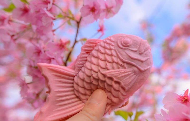 Sakura Season Small Group Tour of 9: Izu Cherry Blossom Viewing and Seaside Day Trip | Kawazu Cherry Blossom Festival & Izu Seaside Train & Jogasaki Coast | Chinese Service | Round-trip from Tokyo with Optional Hotel Transfer - Three hours among Kawazu’s early blossoms