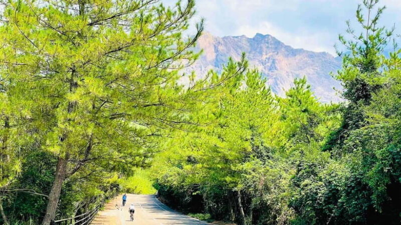 Sakurajima Century Lava Climb Journey with E-bike - The Itinerary and What You Can Expect