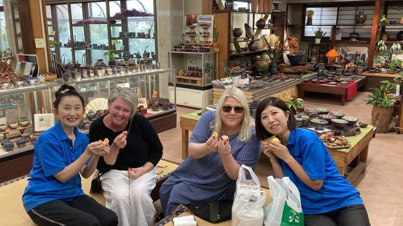Sakurajima & Sengan-en One-day Volcano & Sightseeing Tour - Who should choose this tour?