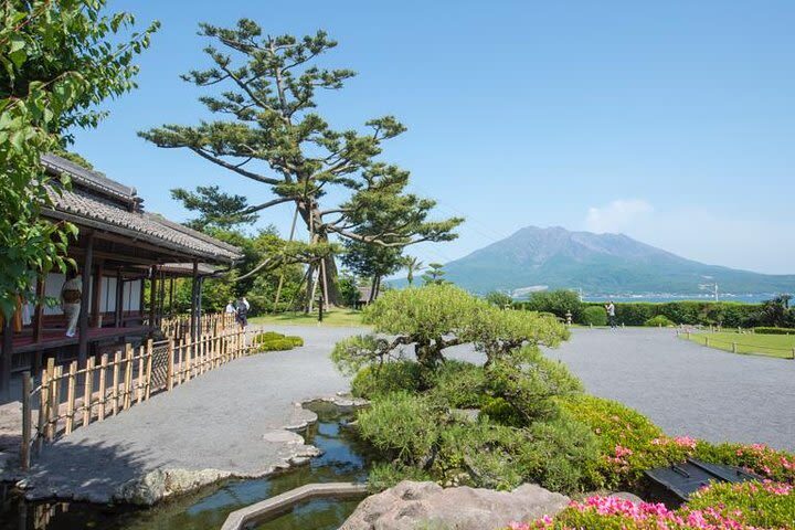 Sakurajima & Sengan-en One-day Volcano & Sightseeing Tour - Should you book it?