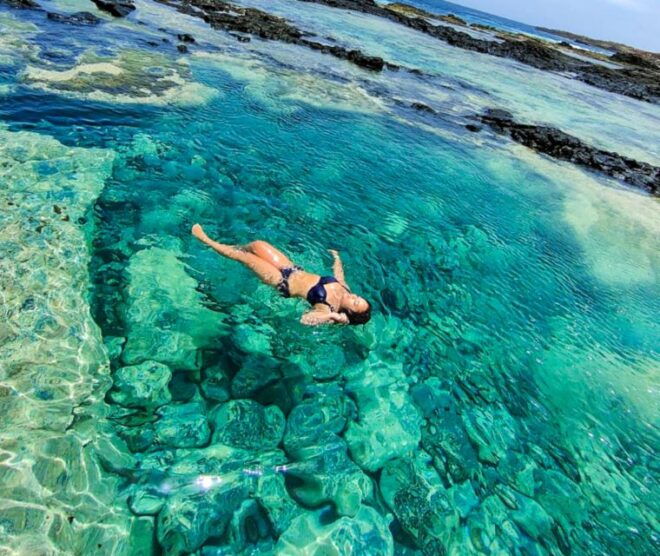Sal: Island Experience Tour With a Certified Local Guide - Tour Highlights