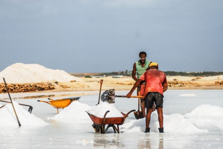 Sal Island: Guided Historical and Cultural Tour - Itinerary Highlights