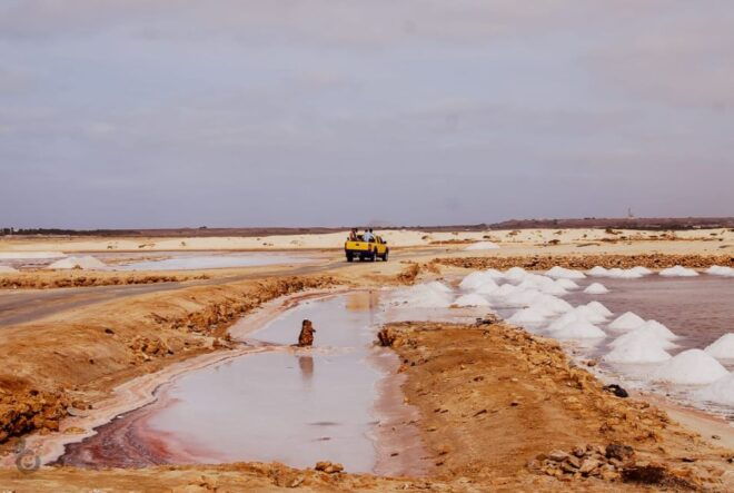 Sal Island: Guided Historical and Cultural Tour - Important Information