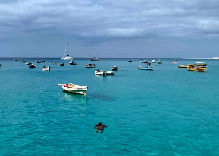 Sal Island: Santa Maria City Tour, Street Art and Tapas - Good To Know