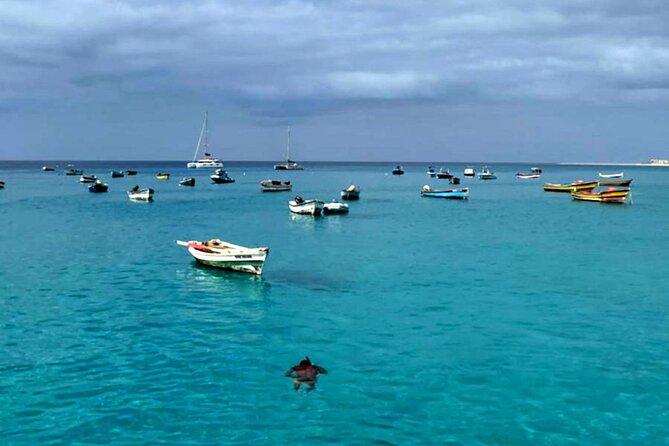 Sal Island: Secrets of Native Guide All-Inclusive Tour With Lunch - Cancellation Policy