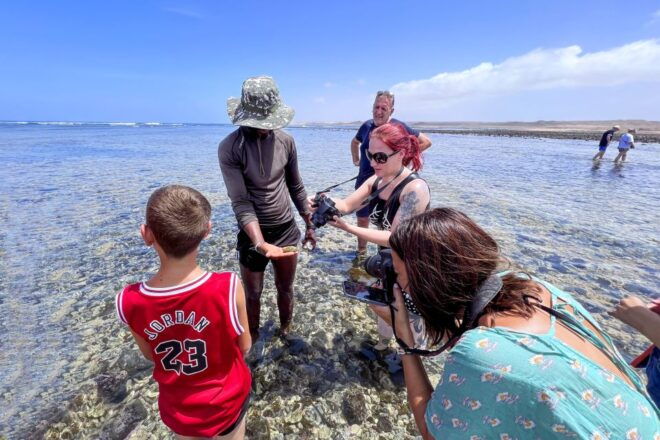 Sal: Small Group Island Tour & Lunch With a Local Family - Inclusions and Exclusions