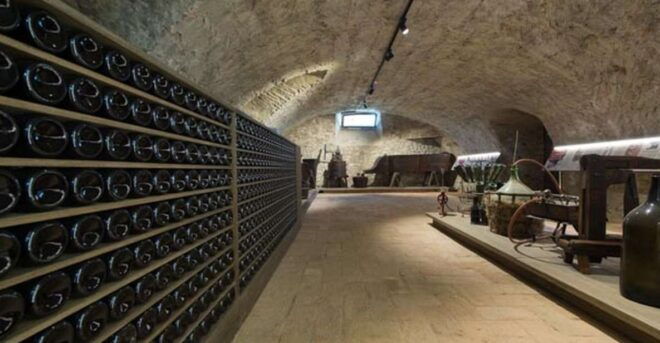 Sala Baganza: Wine Museum Ticket - Visitor Experience Highlights and Sections