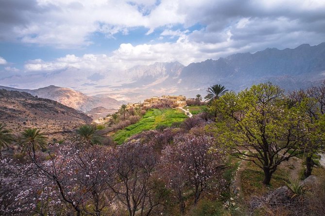 Salalah East & West Combination(Salalah Tours):Oman Shore Excursions - Inclusions and Services
