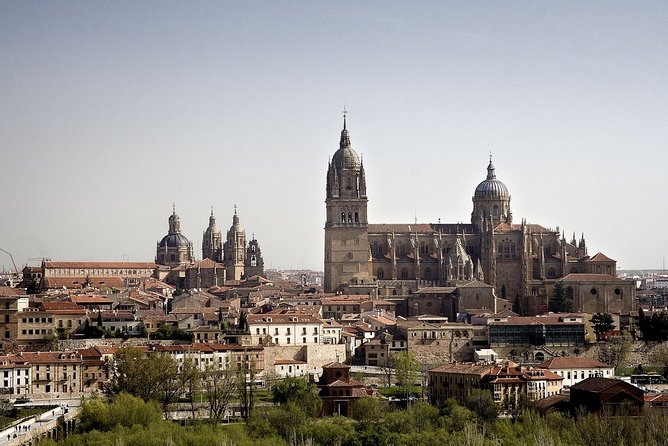 Salamanca and Avila Private Tour From Madrid With Hotel Pickup - Additional Information and Contact