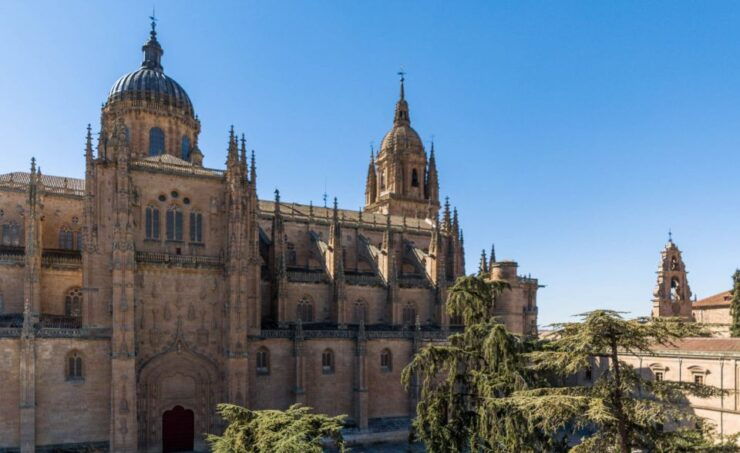 Salamanca: Cathedral of Salamanca Ticket With Audio Guide - Experience Highlights