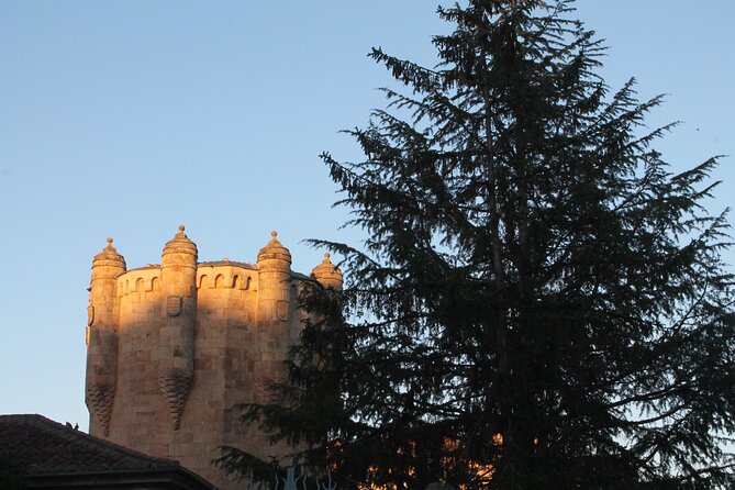 Salamanca Evening Walking Tour Bilingual - Enjoyable Walking Tour