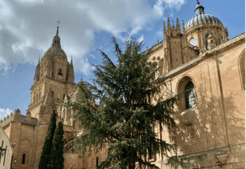 Salamanca Great Private Tour - Booking Information
