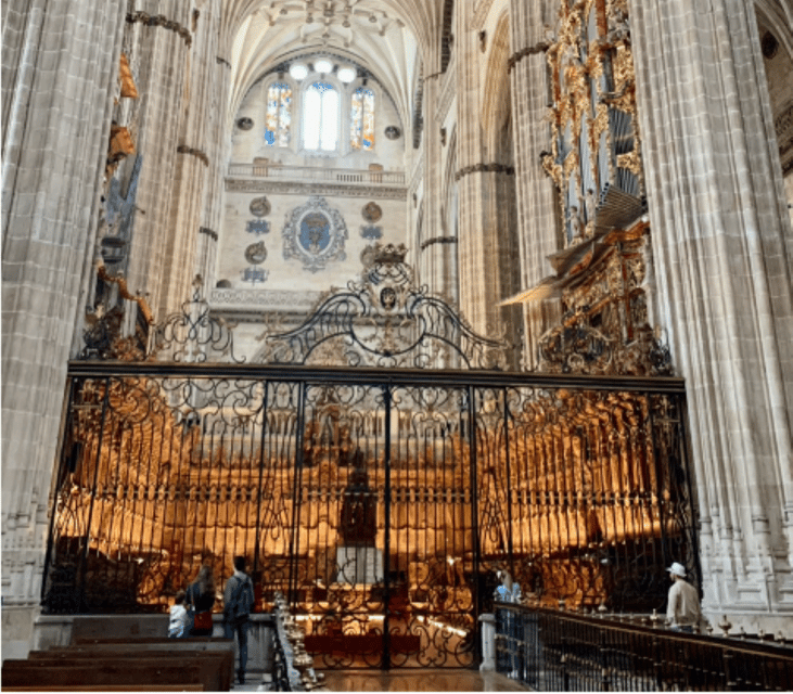 Salamanca Great Private Tour - Highlights of the Tour