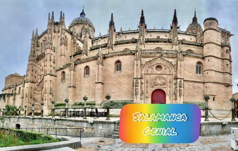 Salamanca Great Private Tour - Expert Local Guidance