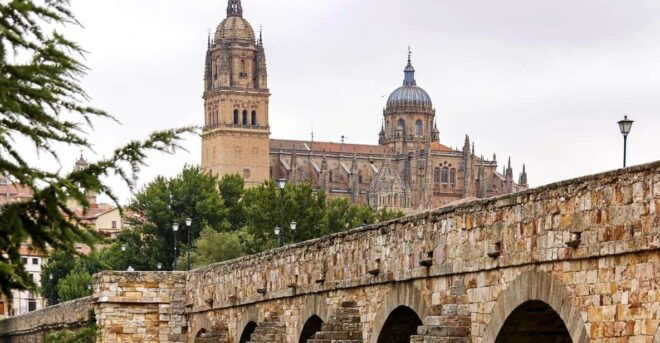 Salamanca - Old Town Private Walking Tour - Roman Bridge
