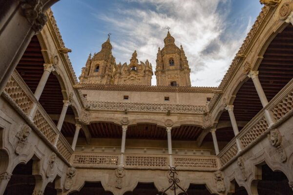 Salamanca - Old Town Private Walking Tour - Twin Cathedrals