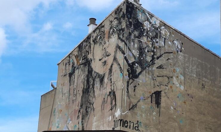 Salamanca: Private Guided Street Art Walking Tour - Tour Details