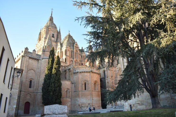 Salamanca: Private Sightseeing & Cultural Walking Tour - Highlights