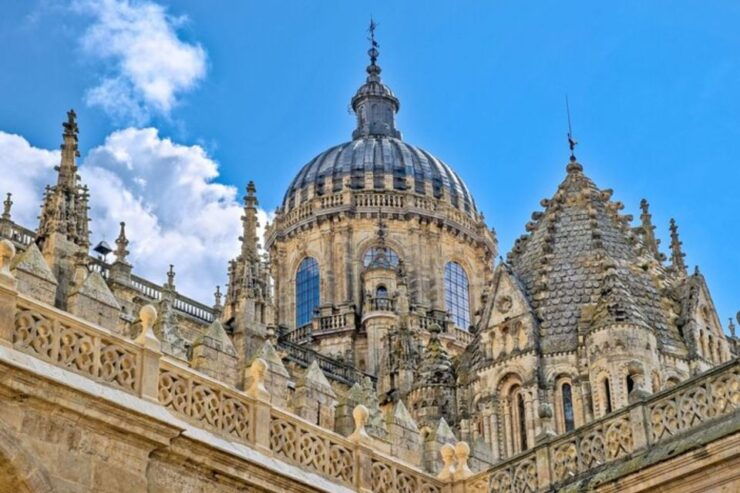 Salamanca: Private Walking Tour With a Local Guide - Booking Details