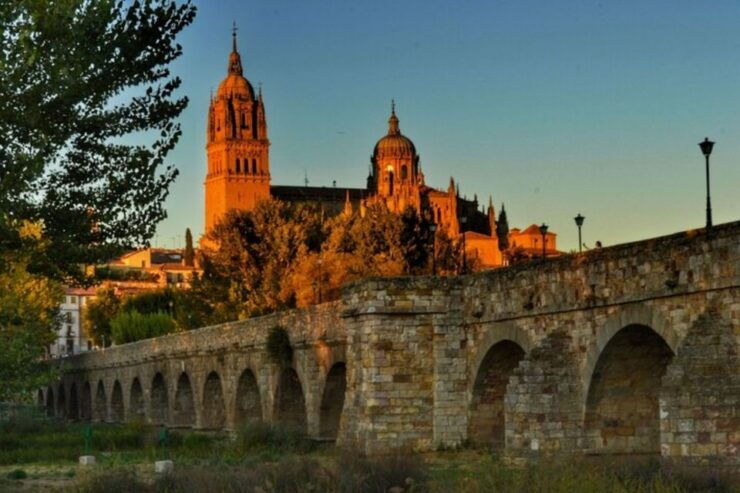 Salamanca: Private Walking Tour With a Local Guide - Experience Highlights