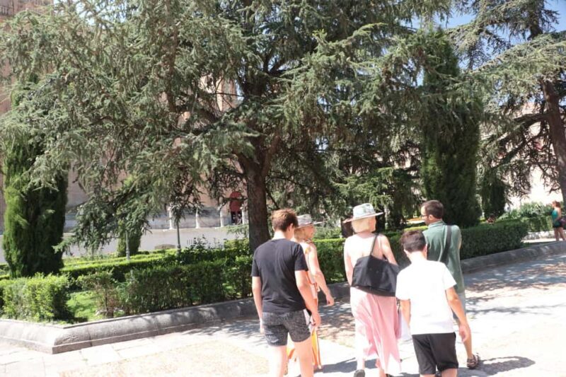 Salamanca: Private Walking Tour with a Local - Why Choose a Private, Local-Led Tour in Salamanca?