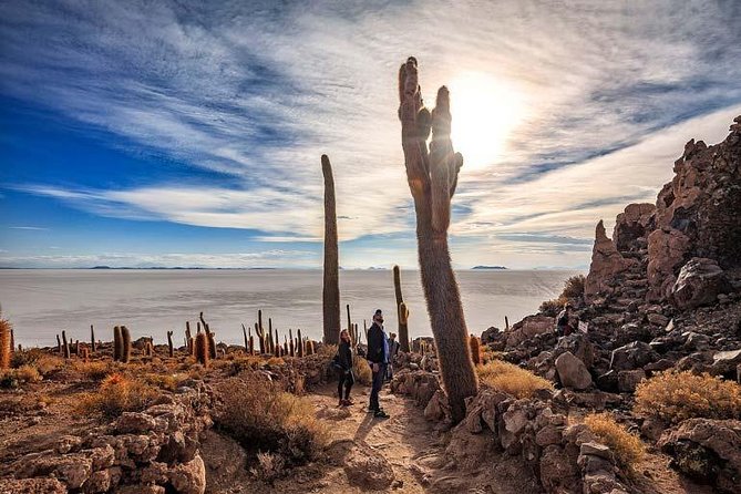 Salar De Uyuni (1Day) - Spanish Speaking Guide - Overview