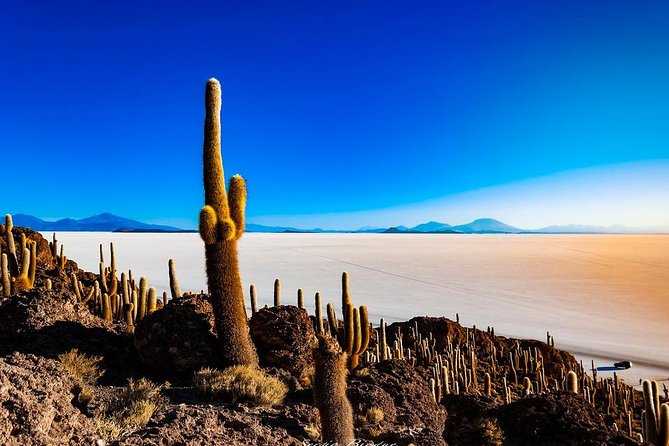 Salar De Uyuni (1Day) - Spanish Speaking Guide - Itinerary