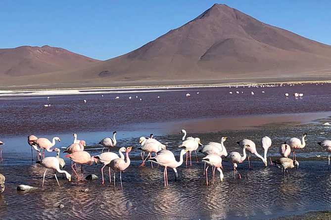 Salar De Uyuni (3 Days) - Day 1: Salt Flats Adventure
