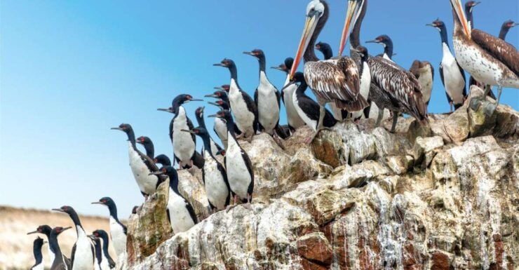 Salar De Uyuni (4 Days) - Itinerary Highlights