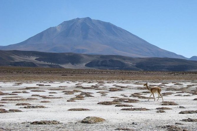 Salar De Uyuni With Lodging - 3 Full Days - With Lagoons - Accommodation and Lodging Options