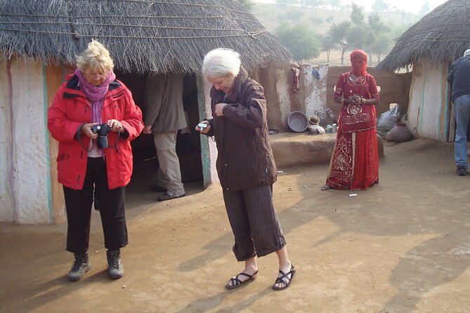 Salawas Village Safari (Jodhpur) - Tribal Community | Durry Weaving | Rural Walk - The Sum Up