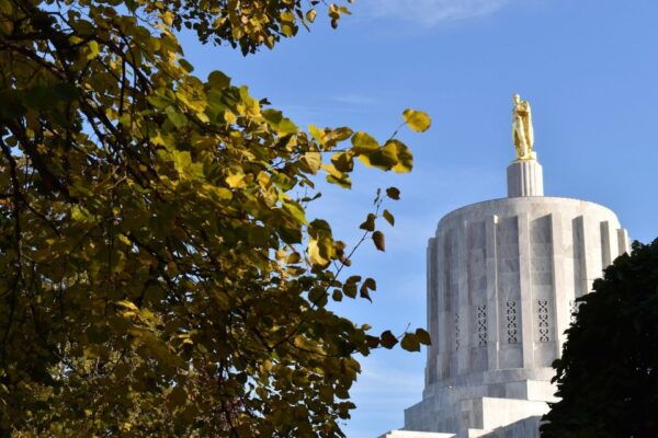 Salem Oregon: Scavenger Hunt Walking Tour and Game - Accessibility and Restrictions