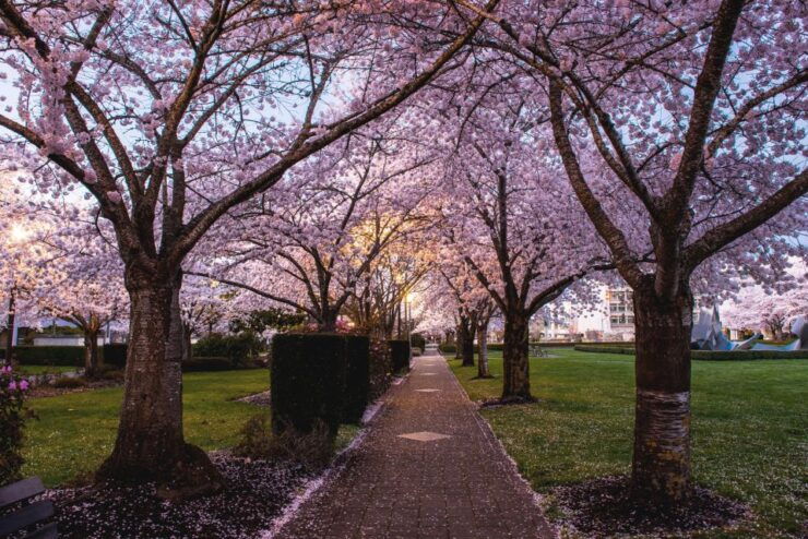 Salem: Witch Trial Walking Tour - Experience Highlights