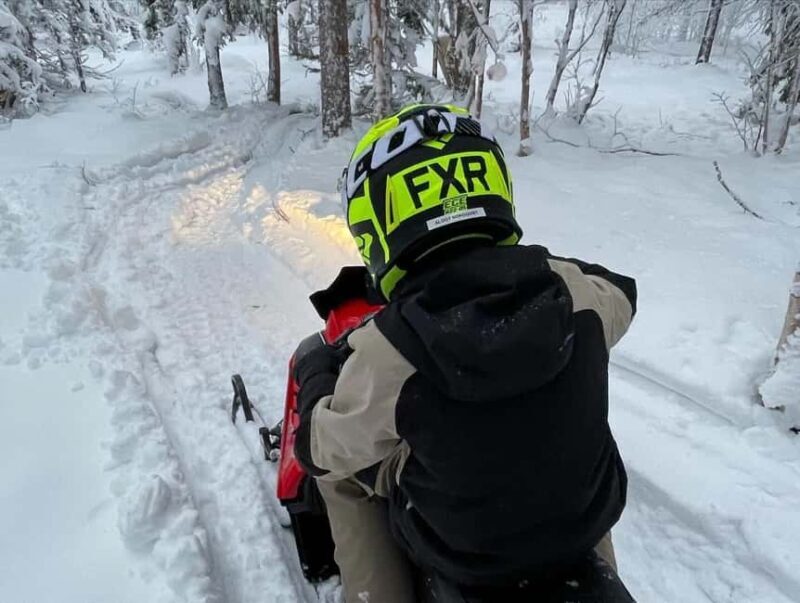Sälen: Mini Snowmobile Adventure on Private Track - The Basics of the Mini Snowmobile Experience in Sälen