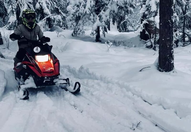 Sälen: Mini Snowmobile Adventure on Private Track - What Reviewers Say About the Activity